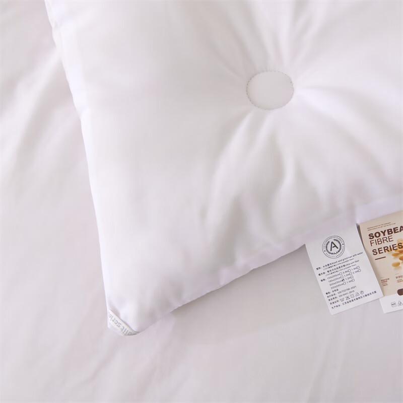 Manya Ju Warm Winter Comforter