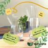 HoPeople My Straws, Food Sanitation Inspection Compliant, Set of 4, with Brush, Glass (Short)