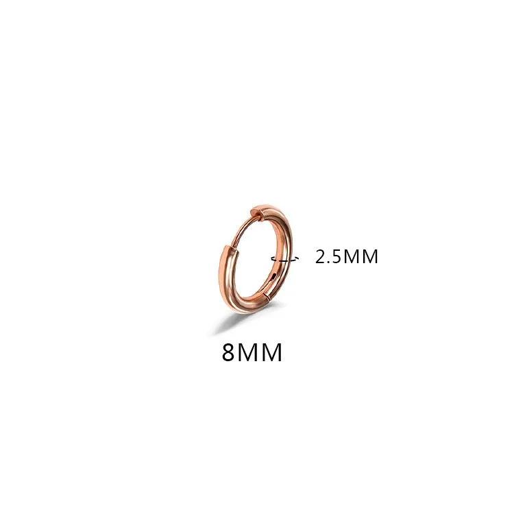 LATS 2024 New Simple Stainless Steel Small Hoop Earrings for Women Men 8mm To 20mm Round Cartilage Ear Piercing Fashion Zircon