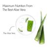 Kapiva Pure Aloe Vera Skin Gel 500 G For Face And Hair Hydrating Moisturizing Multipurpose Daily Care Soothing