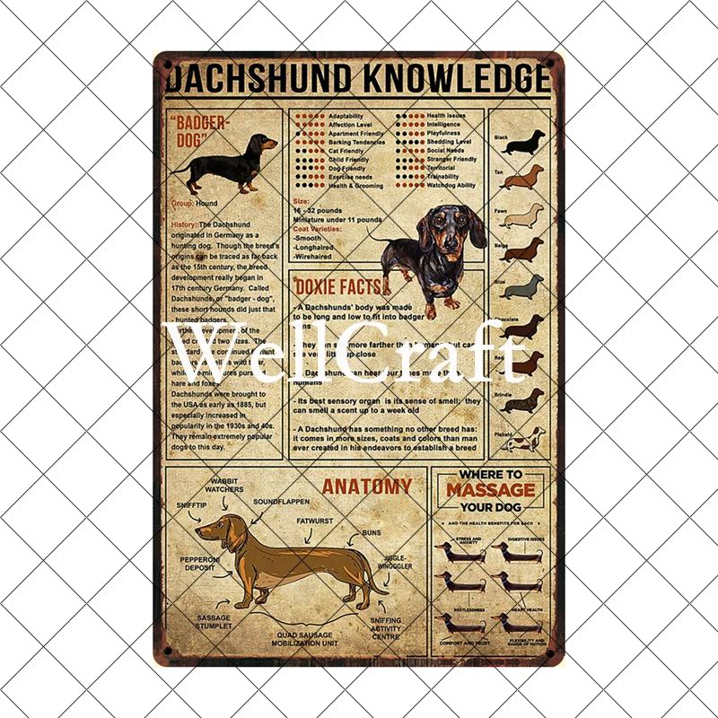 [ Wellcraft ] Pet I Am You Friend Dachshund Dog Bath Shop Wine  Art Metal Tin  Sign Wall  Poster Iron Painting Pub D-02 20*30 CM