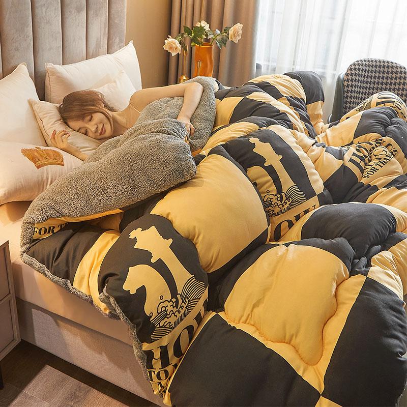 Winter 5Kg Lamb Velvet Quilt Dormitory Single Double Home Hotel Quilt Core 1.5M Thickened 1.8M Luxury Comforter Super Warm Quilt