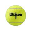 Bipack de 4 balles de tennis WILSON Roland Garros All Court - Blanc