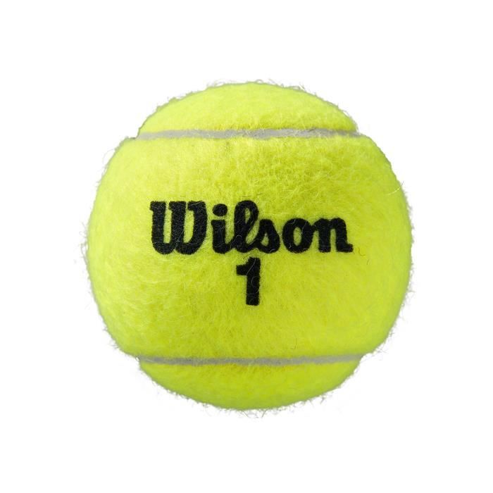 Bipack De 4 Balles De Tennis WILSON Roland Garros All Court - Blanc