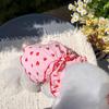Summer Dog Dress Cute Strawberry Print Bowknot Skirts Cat Princess Dress Chihuahua Yorkie Sweet Skirts Puppy Costume Pet Clothes