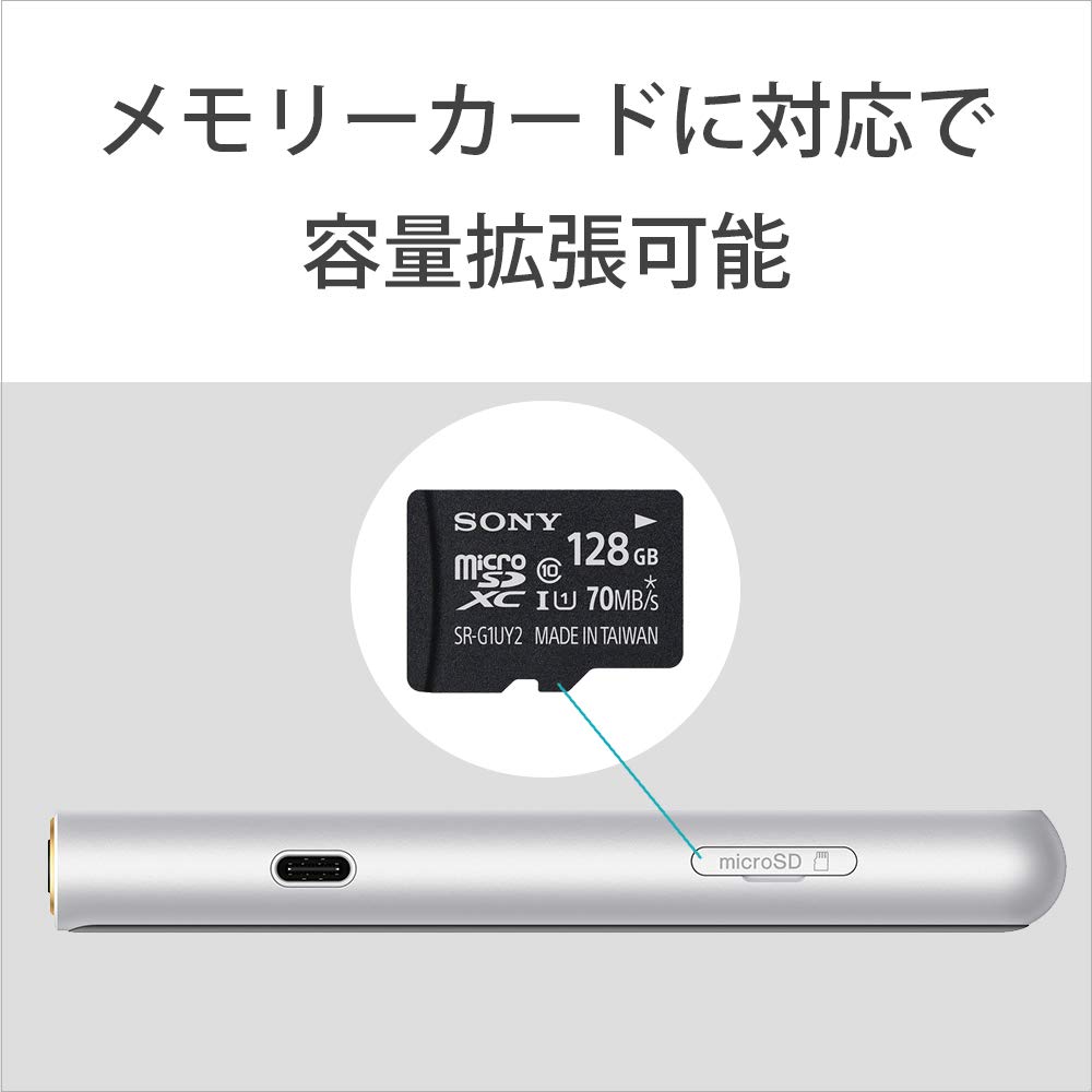 Sony Walkman 64GB ZX Series Audio MP3 MicroSD Touch Up to 20 Hours of Continuous 360 Reality Audio SM NW-ZX507 High-Resolution Compatible, Player,