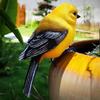 Hummingbird and Tit Bird Resin Garden Ornament for Outdoor Decoration