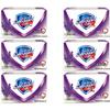 Safeguard Lavender Soothing Care Bar Soap 6-Pack