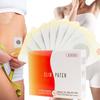 Slimming Patches 10 Pcs Turbo Burning Natural Ingredients Weight Burner