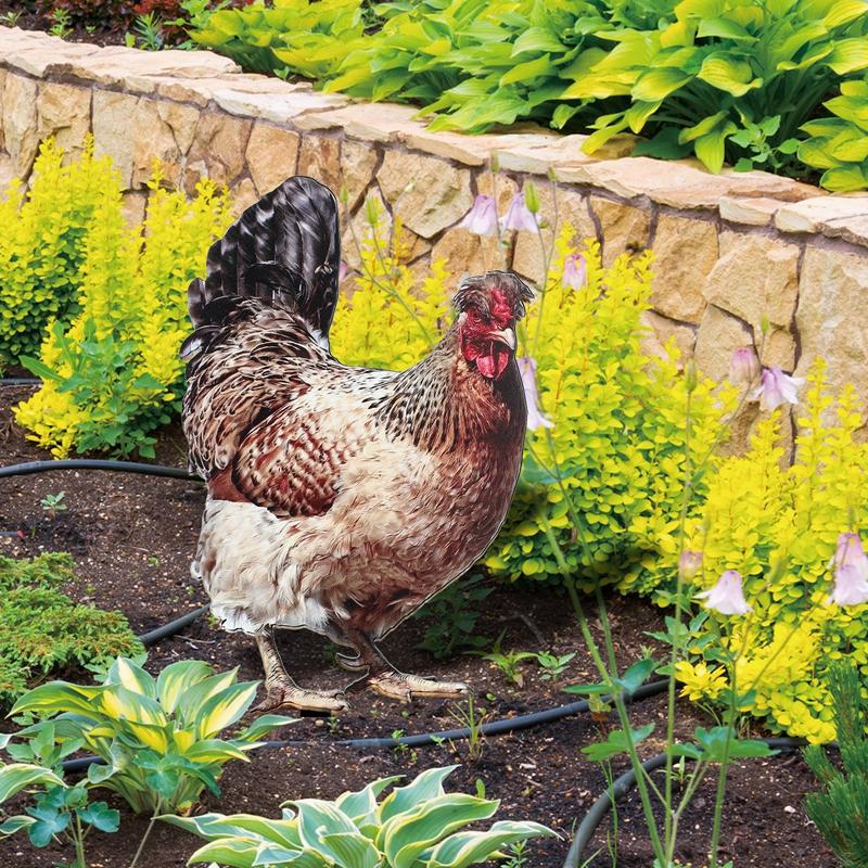 Huhn Hof Dekorationen Garten Henne Stakes Wetterfeste Tier Skulptur Realistische Boden Stecker Hahn Für Garten