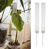 Moss Pillar Moss Scaffold Plant Climbing Stereotype Column High Quality Plant Climbing Fixed Column