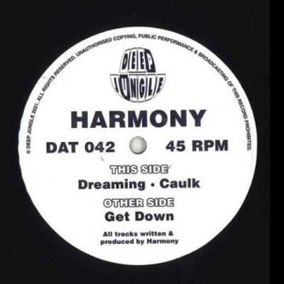 12-Zoll-Schallplatte HARMONY - Get Down / Dreaming; Dichtmasse DAT042 Deep Jungle 2021 UK Tanz & Elektronik