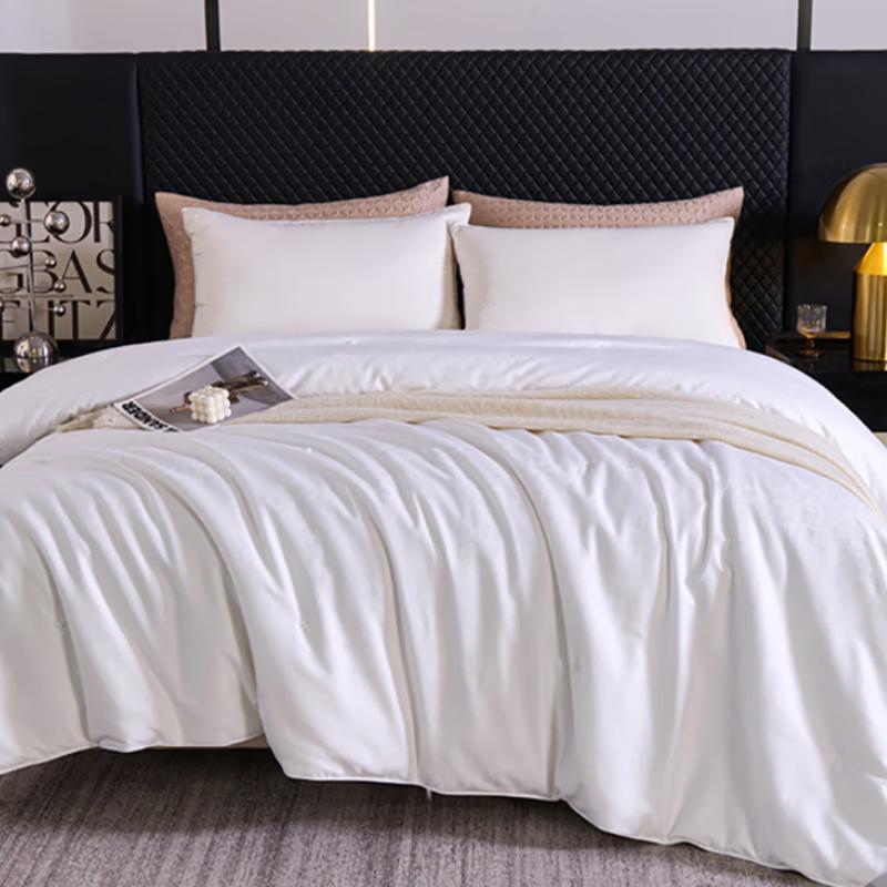 Premium Tussah Silk Quilt