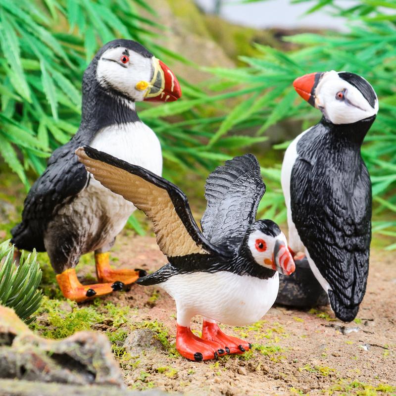 Oenux Bird Forest Animal Parrot Macaw Cockatiel Cockatoo Agapornis Puffin Model Solid PVC Garden Decoration Education Kids Toy