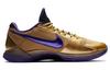 Nike X ללא הפסד זום קובי 5 פרוטרו 'היכל התהילה' DA6809-700