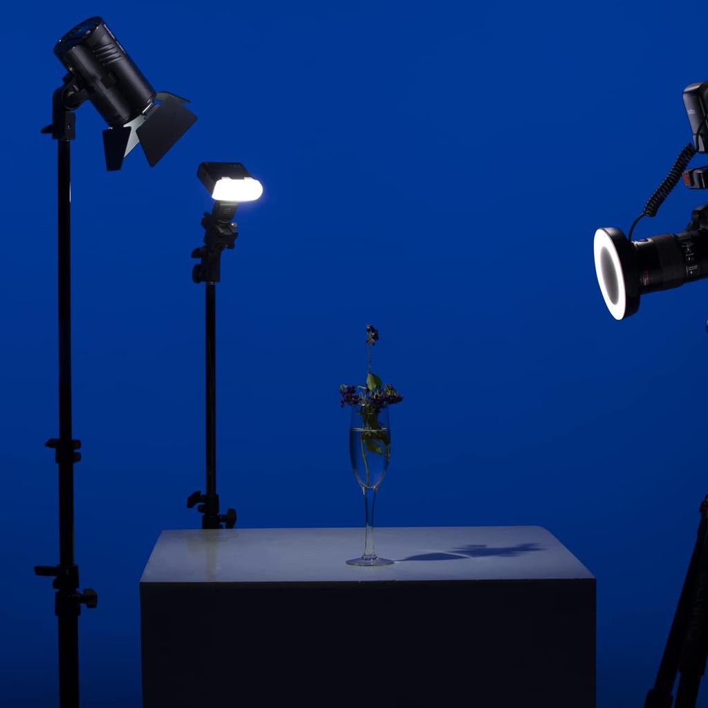 Godox Makro-Ringblitz Recycle 5800K Speedlite mit 8 Objektivadaptern Kompatibel mit und Panasonic ML-150II Blitz, Leitzahl 12, 0,1-2s Zeit, Ringe, Nikon, Sony,