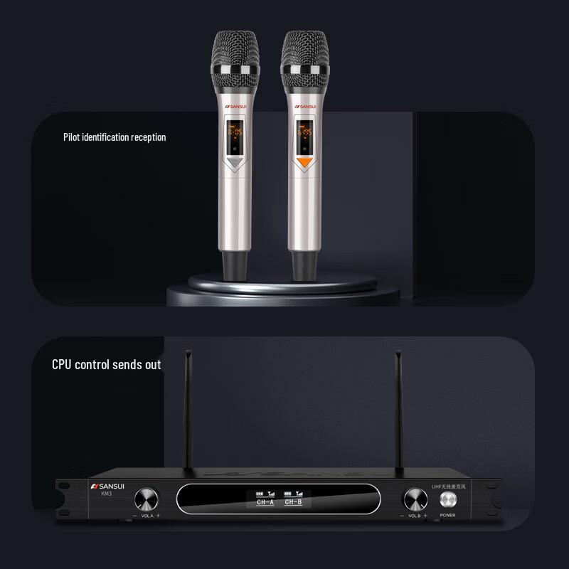 SANSUI F20 Home KTV Karaoke System