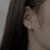 Men Stud Earring Zircon Star Pierced Crystal Stud Earrings Stainless Steel Tiny Minimalist Studs for Mens Women Party Jewelry