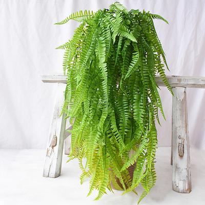 Simulation Spray Color Anchovy Wall Hanging Extra Large Full Persian Grass Green Simulation Fern Plant Vine Vine