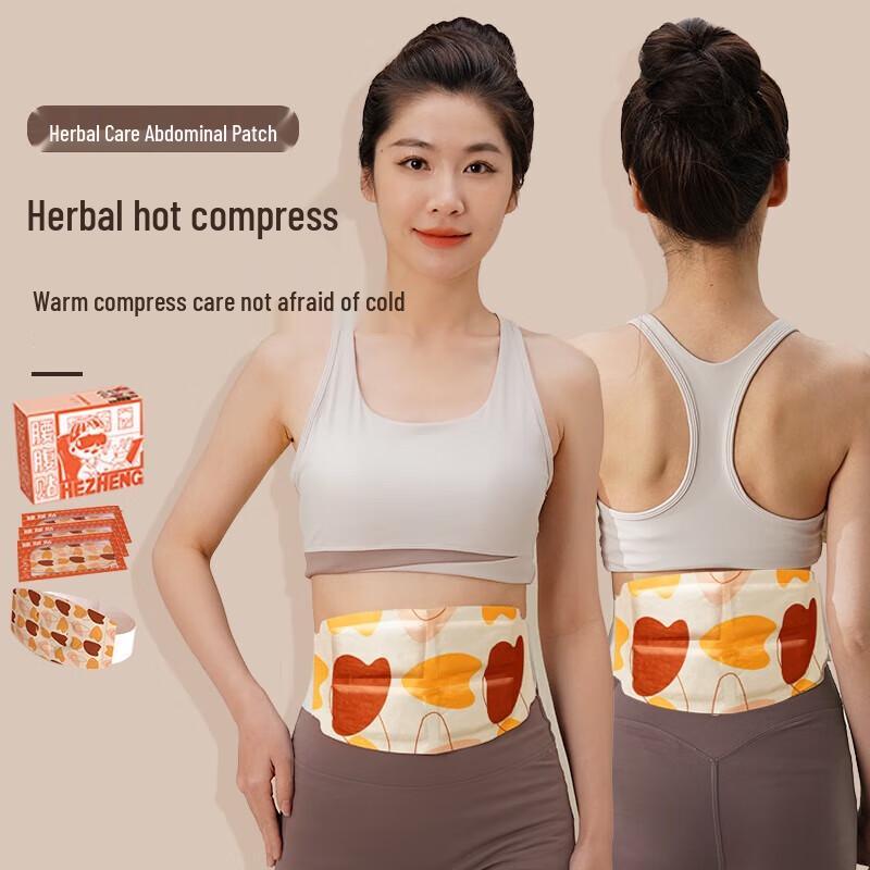 HeZheng Self-Heating Warming Waist Patch Set CN plug (adapter included)