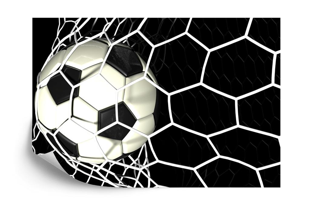 Photomural 3D Soccer Ball In Net Washable Fleece 254x184