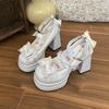 Scarpe Donna Carine alla Moda 2026 Autunno Nuove Scarpe da Donna con Fiocco Tacco Spesso Tacchi Alti Semplici Versatili Scarpe Mary Jane da Donna Zapatos