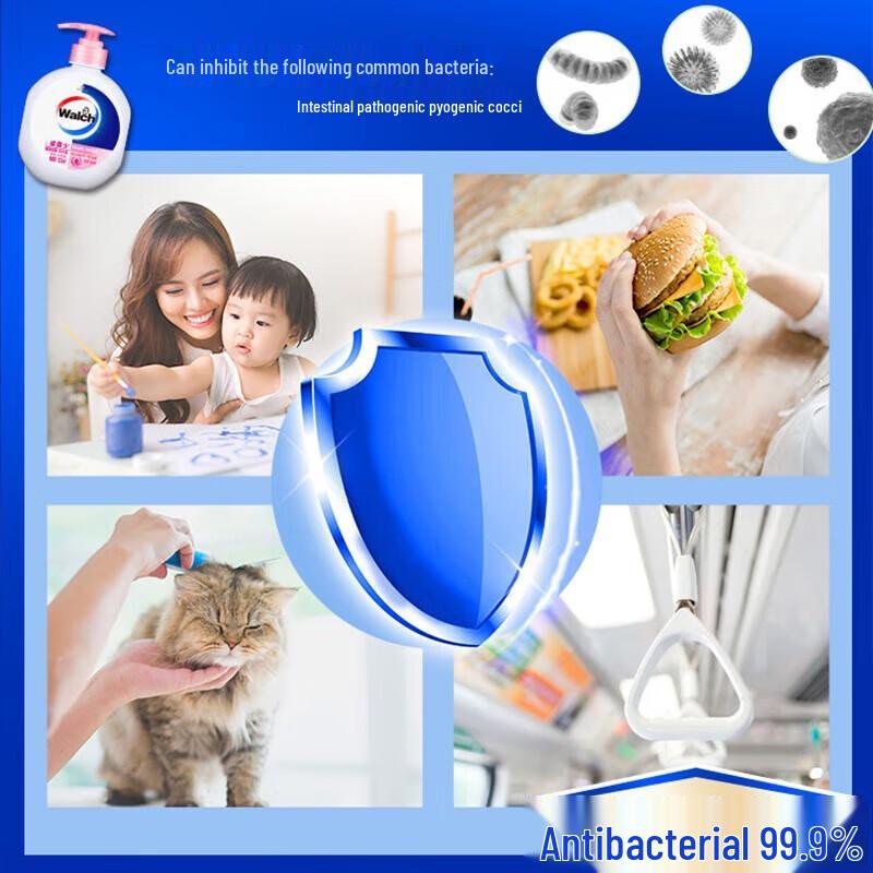 Walch Healthy Antibacterial Hand Soap Multipack