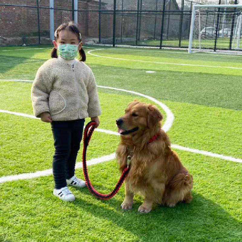 Pet Dog Leash Nylon Heavy Duty Nonextendable For Large Dogs