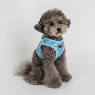 Dingdongpet Pet Basic Walking Harness, Sky Blue
