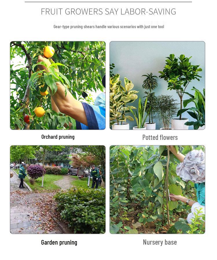 SK5 Stainless Steel Pruning Shears: Multi-Function Garden Scissors for Fruit, Flower, and Tree Care