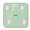 Smart Body Fat & Weight Scale (CN Version)