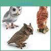 Childrens Animal Model Decor With Realistic Plastic Owl Bird Figurine For Educational Display