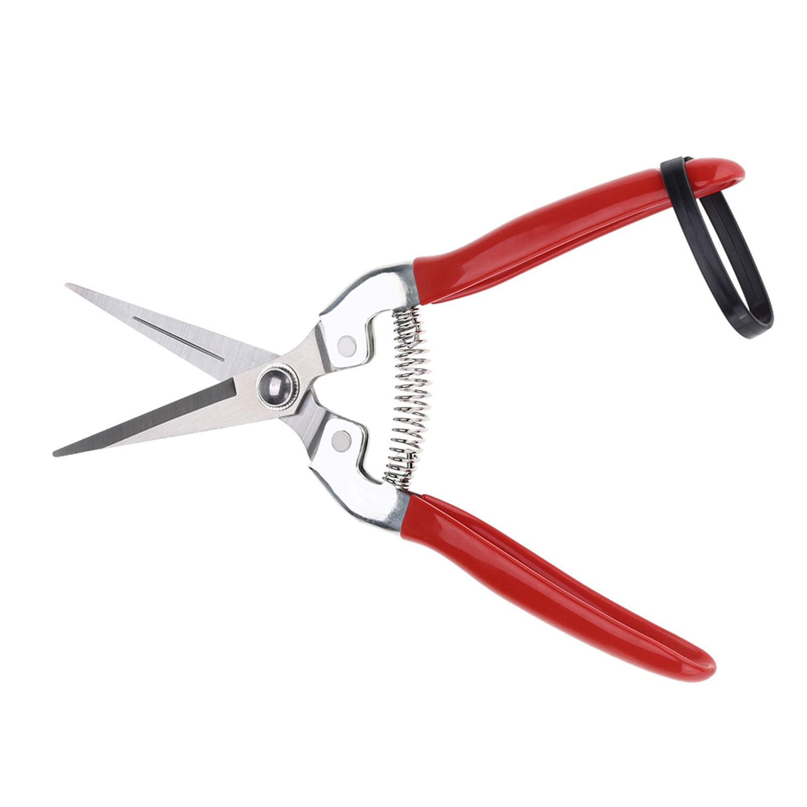 1Pc Sturdy Fruit Tree Bonsai Gardening Pruning Shear Garden Scissors Pruner Tool Straight Blade