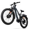Bicicletă Electrică All Terrain Hedatx Motor 500Wx2 Adult Ebike 48V 19.2AH Suspensie Completă Viteză Maximă 45Km/h 7 Viteze TX29