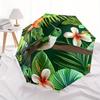 1pc Hummingbird Tropical Automatic Open/close, Heavy-Duty Iron Frame & 8-Rib Structure, Compact Folding Umbrella for Women/Men, All-Season Travel, Hal