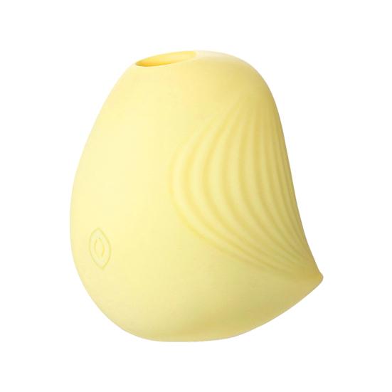 Sucking Vibration Massager Life Waterproof Smooth Silicone Clit Stimulator Masturbation Sucker for Vagina