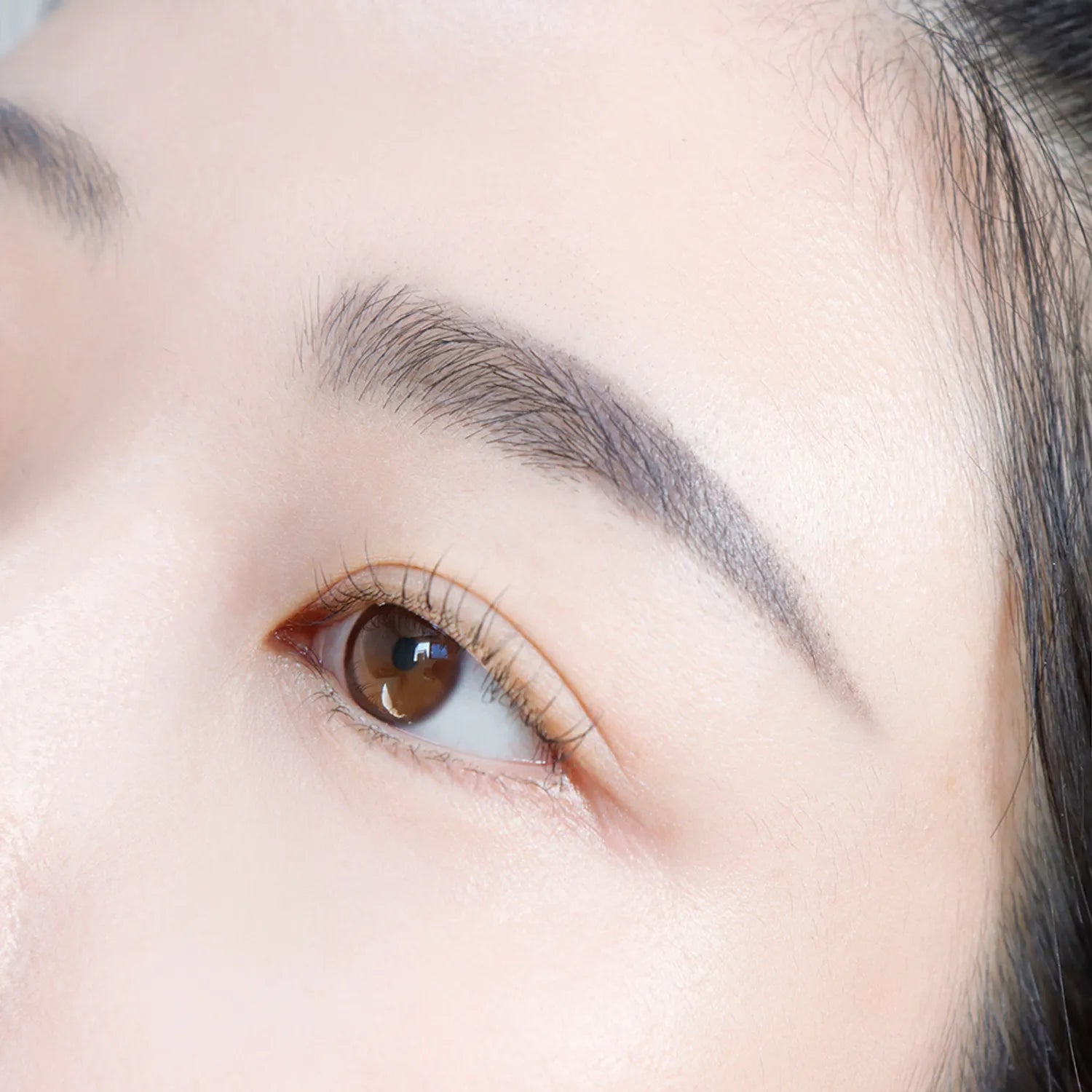 espoir The Brow Balance Pencil (8 Colors) [SET] #2 Cool Gray (+Eyebrow Scissors)