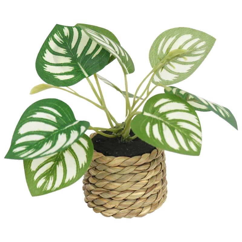 Simulated Green Plants Nordic Style Potted Plants Dripping Guanyin Leaves Simulated Green Plants Living Room Office Decoration