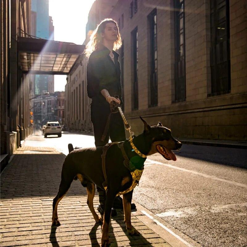 Designový hrudní postroj pro domácí mazlíčky Flitrový postroj pro velké psy Luxusní obojek pro psy s ochranou proti výbuchu Příslušenství pro psy