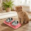 Detachable Stainless Steel Pet Bowl Anti-Overturning Pet Water Dispenser Double Pet Bowl  Travel