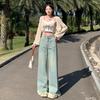 Light Blue High-waisted Slimming Wide-leg Jeans for Women's New Spring and Autumn Loose Straight Tassel Mopping Pants
