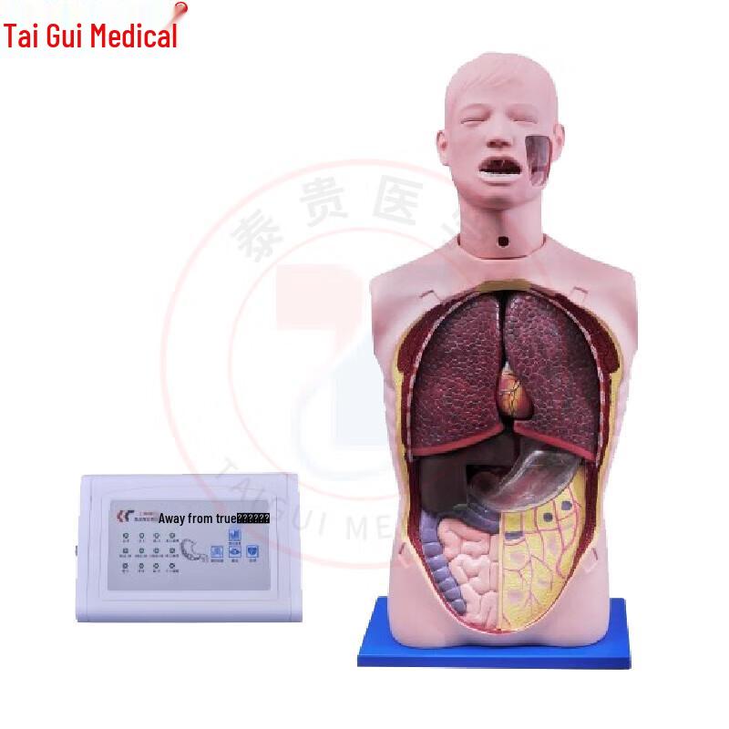 Многофункциональная прозрачная модель для тренировки гастрического лаважа