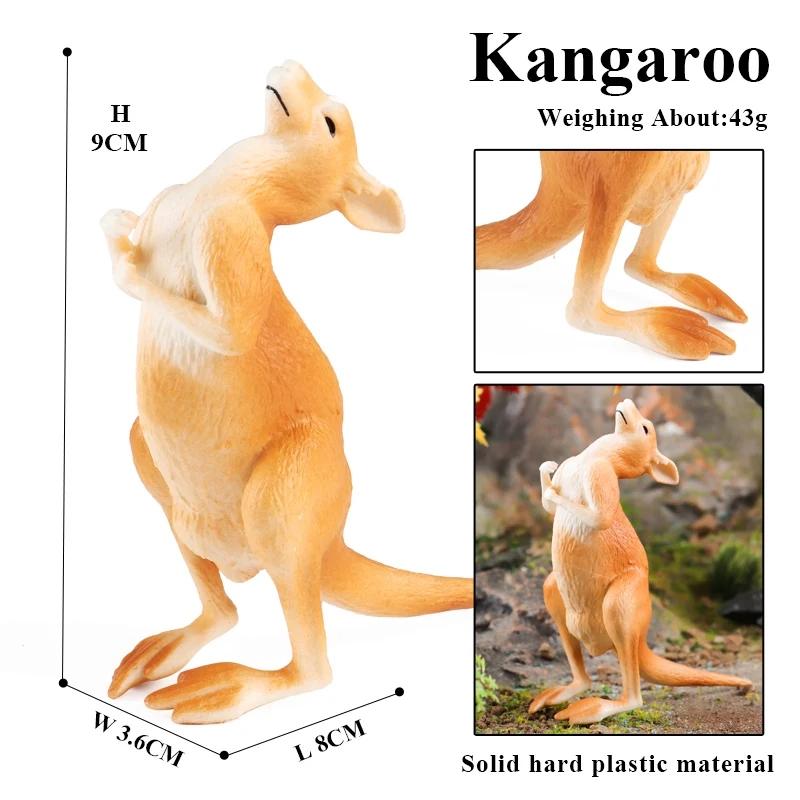 Oenux Classic Australian Wild Animals Kangaroos Koala Platypus Tasmanian Devil Echidna  Cassowary Model Figurine Toy Kid Gift