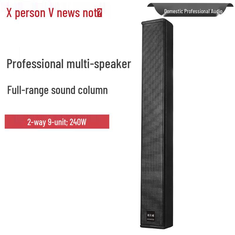 Xun Er Wei Professional Conference Audio Video Systems (CN version)