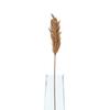 Hill Interiors Dried Pampas Grass Artificial Flower