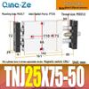 Regulowany skok Dwosiowy cylinder pneumatyczny dwururkowy TNJ TNJ10/16/20/25/32-30-100