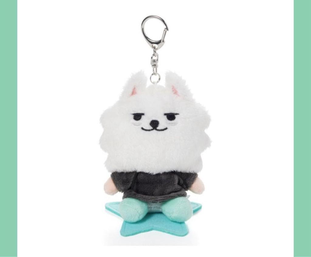[USED] TXT PPULBATU Soobin * Youngmon * Plush Keychain