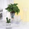 Floor-standing Hydroponic Flower Pot Plastic Aquatic Plant Container Creative   Desktop