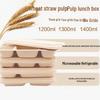 Eco-Friendly Three-Compartment Takeaway Meal Boxes