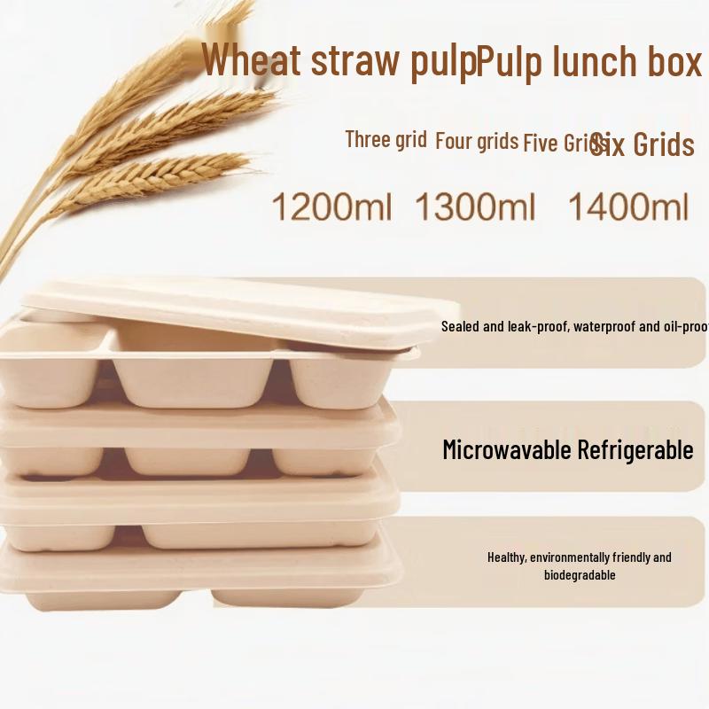 Eco-Friendly Three-Compartment Takeaway Meal Boxes